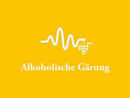 Deutsche Weine – #015 – Alkoholische Gärung