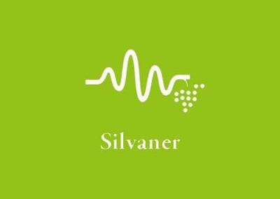 Deutsche Weine – #012 – Silvaner
